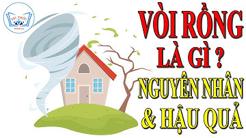 Lốc Xoáy - Vòi Rồng là gì ? Nguyên nhân hình thành & Hậu quả ra sao? TRI THỨC Official