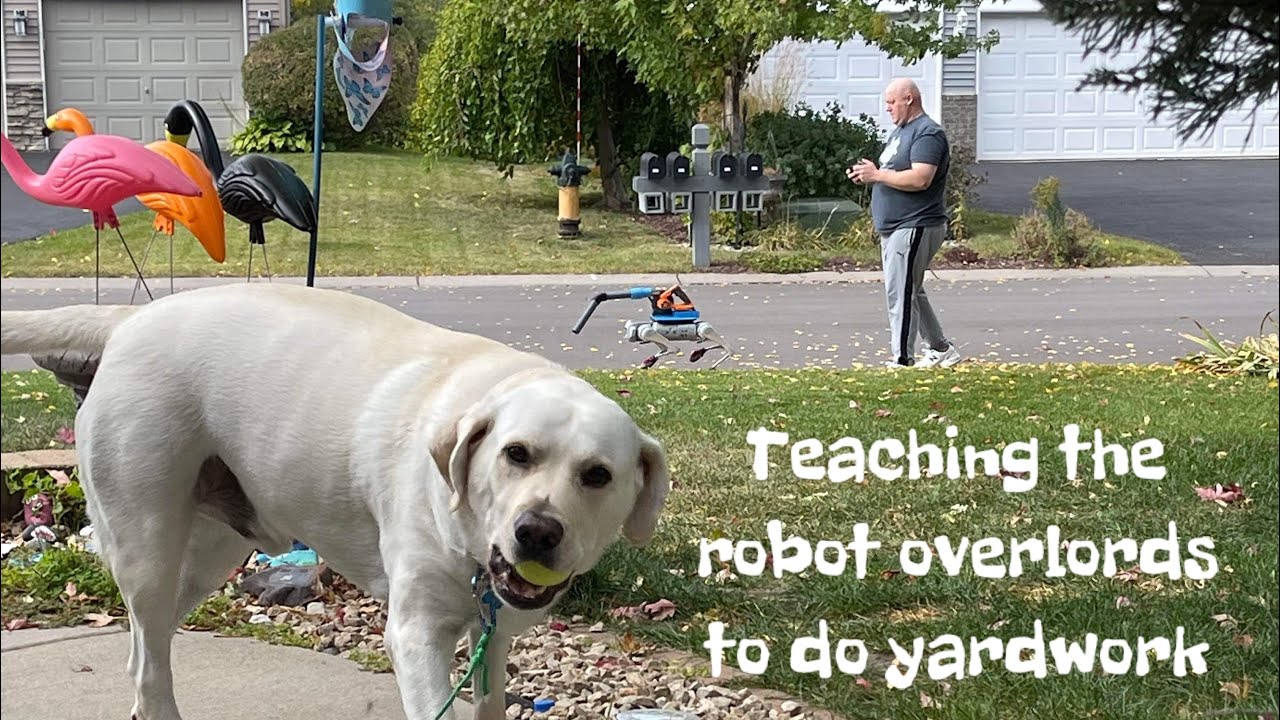 Robot blowing leaves. Unitree Go1 learning to do yard work. YouTube