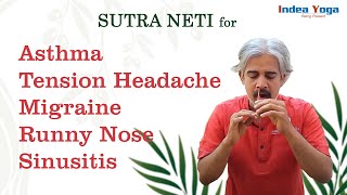 Sutra Neti for Sinus | Migraine | Tension Head Ache | Running Nose  | Neti Kriya Yoga