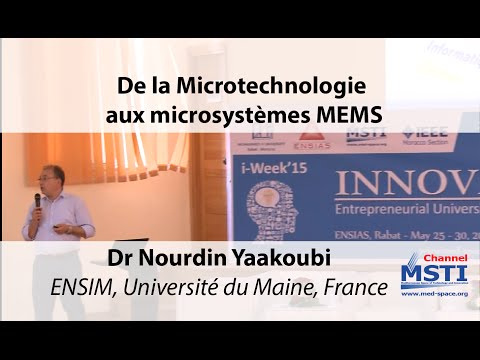 Vidéo: Quel est un exemple de microsystème ?