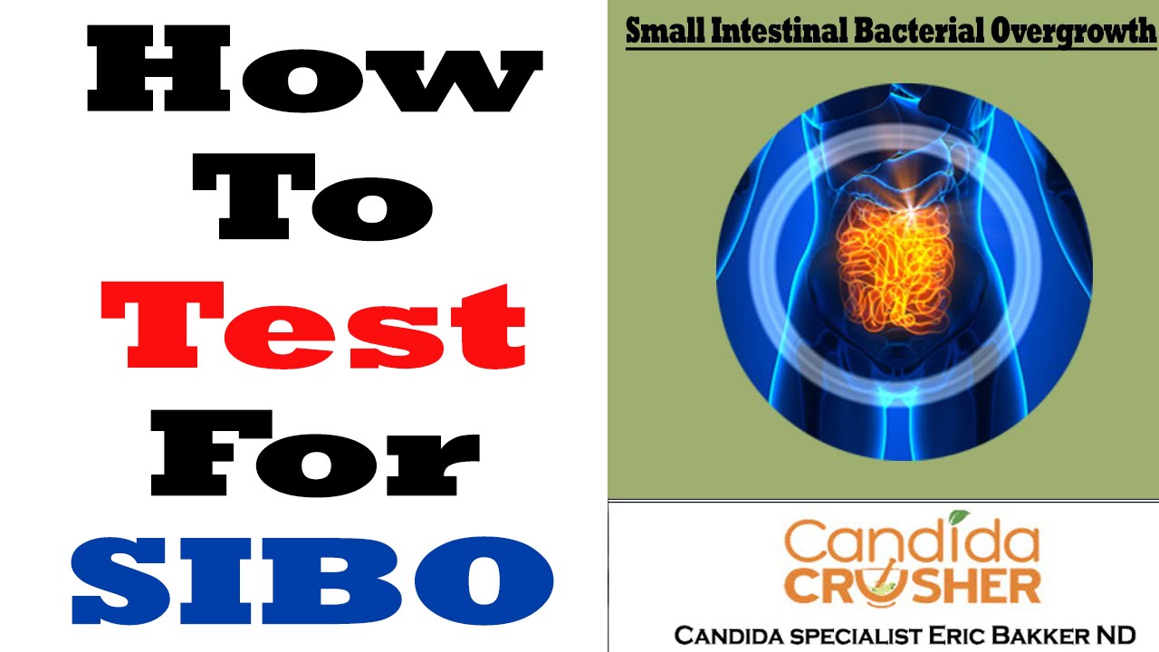 SIBO Test Diagnosis How Can I Test For SIBO YouTube SIBO Test Diagnosis How Can I Test For SIBO YouTube