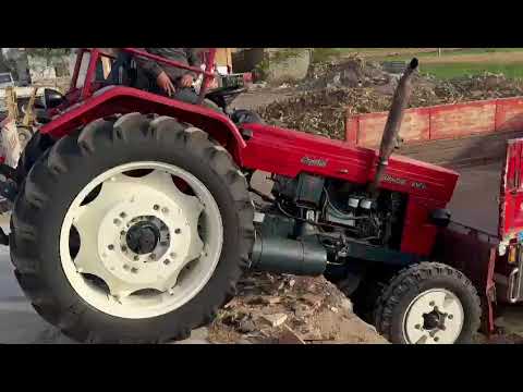 الله يبارك للمشتري سوهاج وبشوتها أهل البيلنا احسن ناس الحمد لله جت سليمه الحمد لله