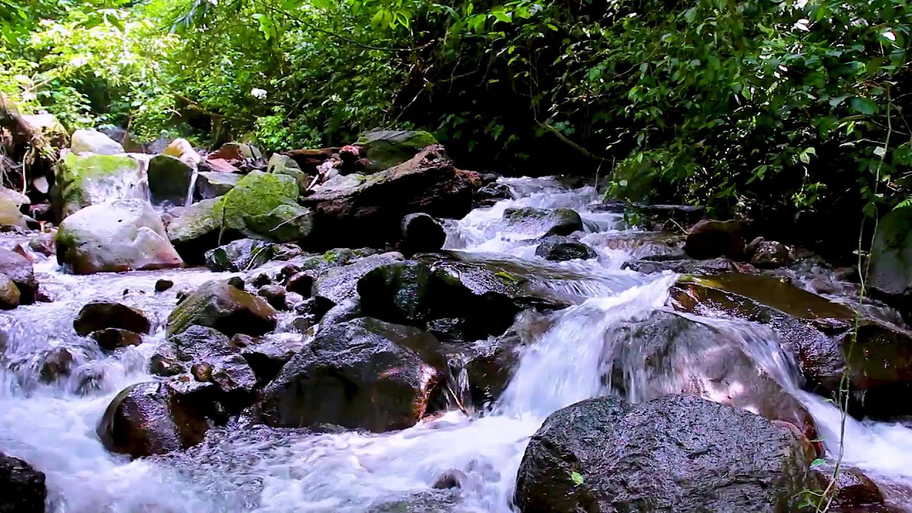 Let River Sounds Calm Your Mind | Deep Sleep Relaxing Water Ambience