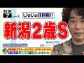 【競馬】新潟2歳Sでのじゃいの予想【勝ち馬予想】