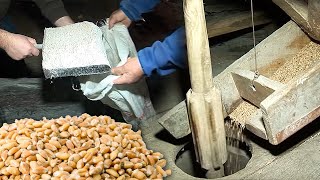 Traditional grain milling in a stone flour mill | Lost trades | Documentary