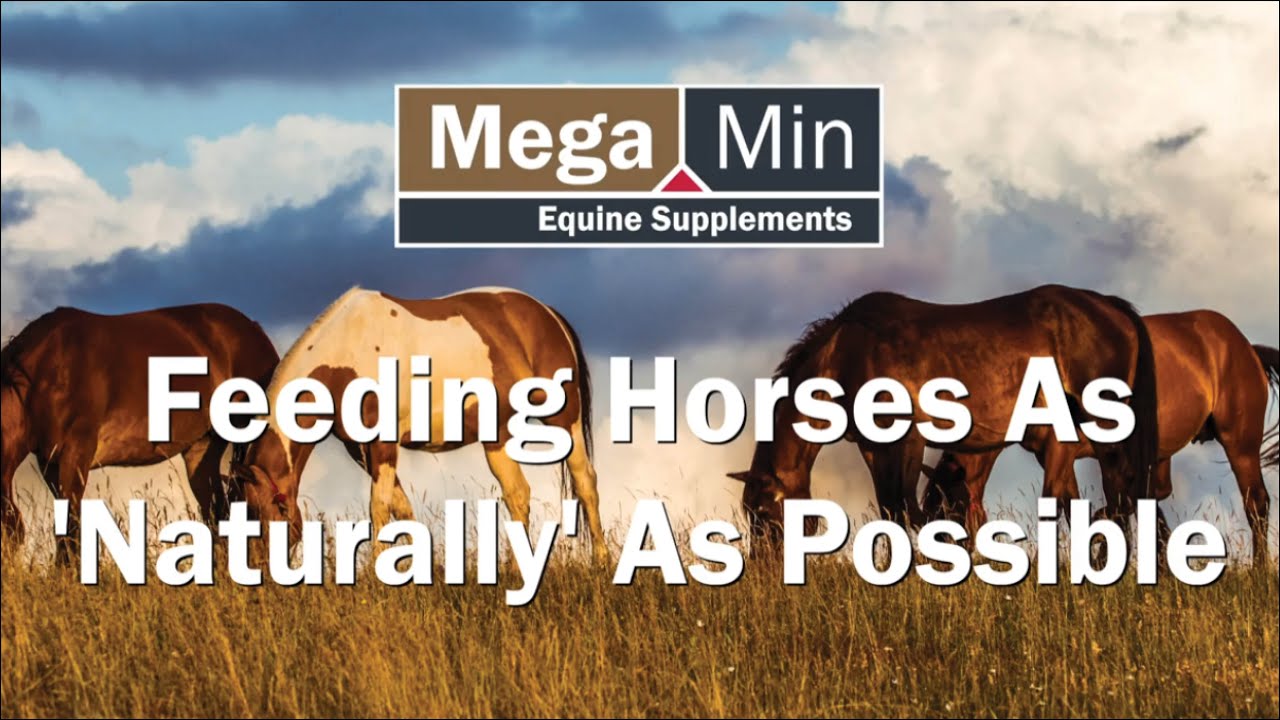 Feeding Horses As Naturally As Possible