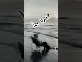 طظ وبجد اخس انا المنحوس