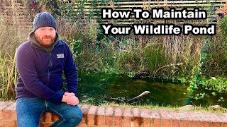 How To Maintain a WILDLIFE POND in Autumn & Winter