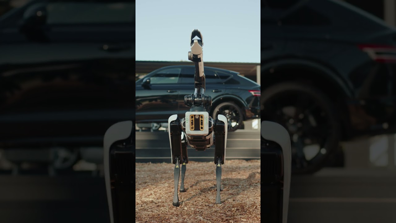 See Spot's guide to the Genesis 14th Lounge