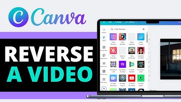 How to Reverse a Video in Canva 2025 (Step By Step Guide)