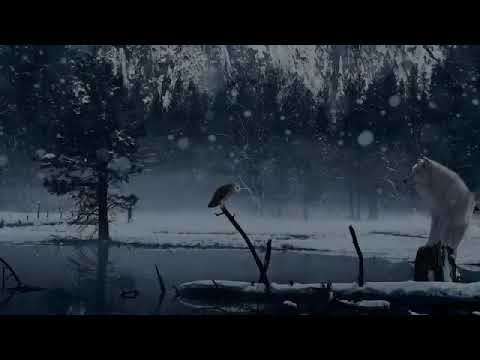 ბუ - მე და შენ / Bu - me da shen