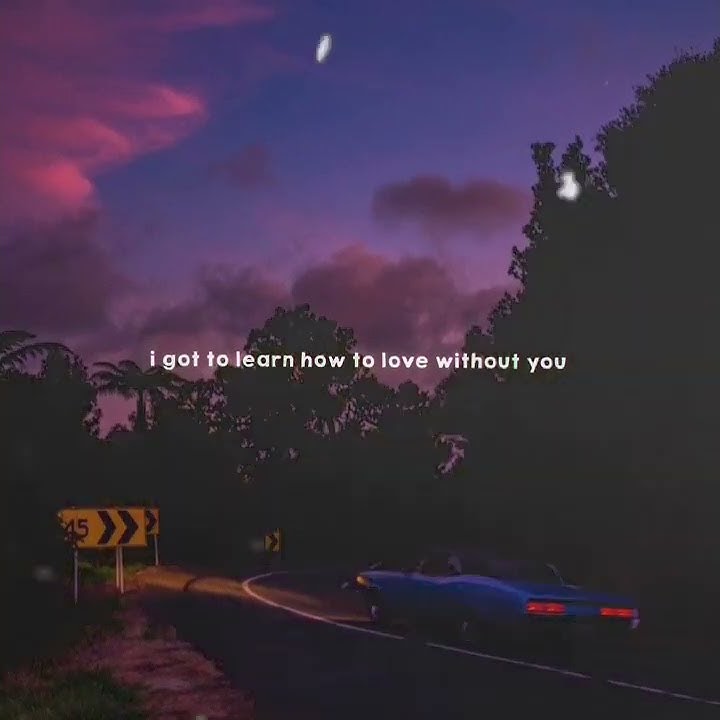 Avicii Feat. Sandro Cavazza/ Without You/ Lyrics video💓