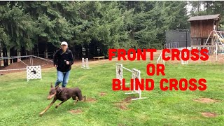 Dog Agility Class Learns Front Cross & Blind Cross