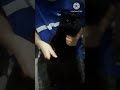 мой кот мем #мем #котик