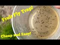 Making a Fruit fly Trap! how to make a fruit fly trap