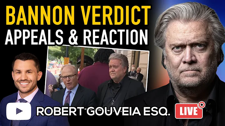 Bannon's SCAM Guilty Verdict and APPEALABLE ISSUES...