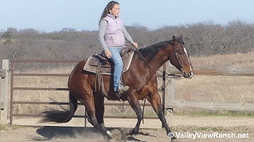 Thirdcuttingscdroyal - riding in outdoor arena #1 - ValleyViewRanch.net