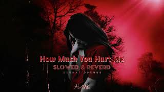 Serhat Durmus - How Much You Hurt Me ( Slowed & Reverb ) Official Music !