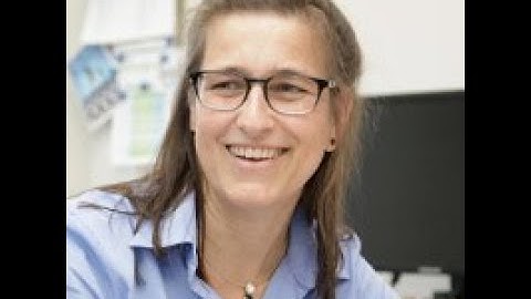 Inga Kamp: A new window into planet formation with JWST