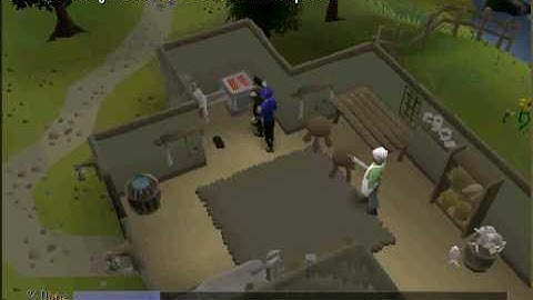 How to do tutorial island { pt 1 }