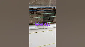 اشهر صوت فى مصر روبابيكيا روبابيكيا 