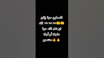 سورة الأعراف بصوت القارئ ماهر المعيقلي #القران_الكريم #غزة_تواجه_الإبادة #فلسطين_حرة_بإذن_الله