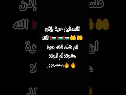 سورة الأعراف بصوت القارئ ماهر المعيقلي القران الكريم غزة تواجه الإبادة فلسطين حرة بإذن الله