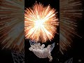The Kiffness Please Go Away #funnycats #funnysong #ytshorts #shorts