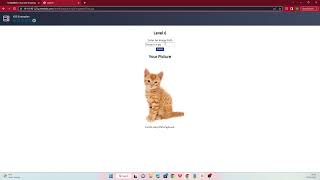 TryHackMe Cross site Scripting answers