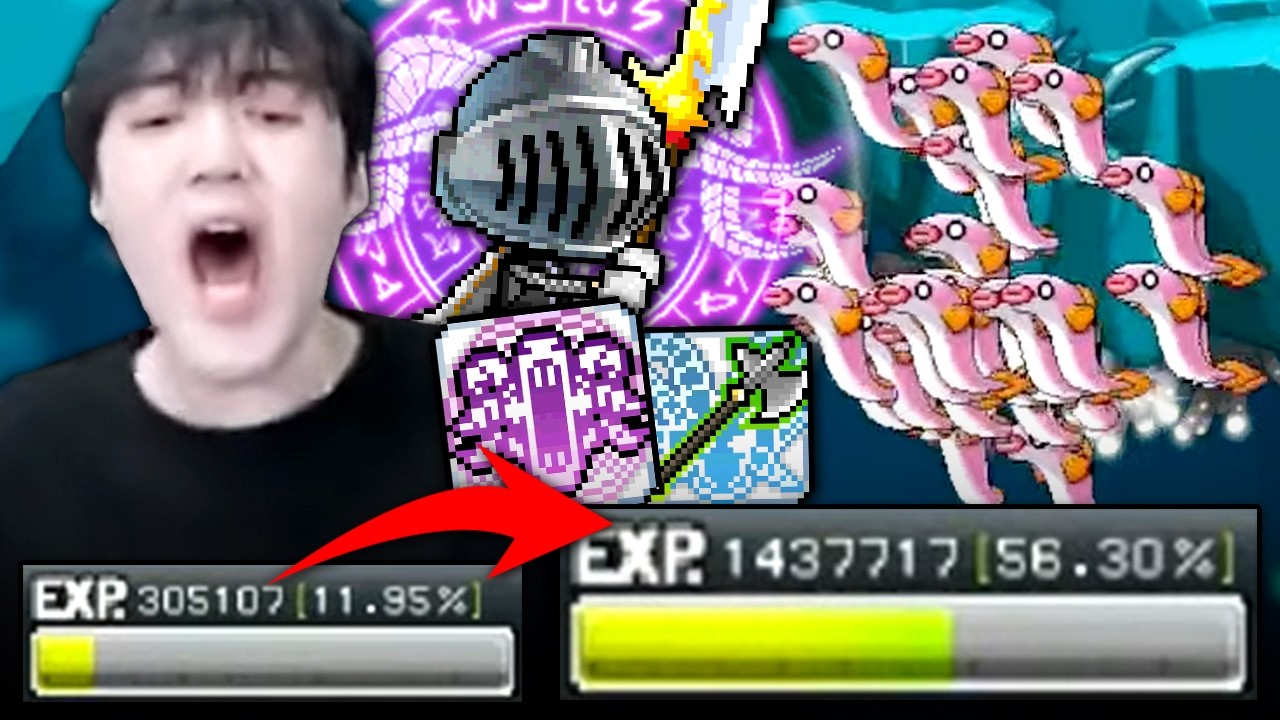 옛날메이플 그시절 망둥어쩔이 존재한다고? 경험치 올라가는 속도 개레전드ㅋㅋㅋㅋ