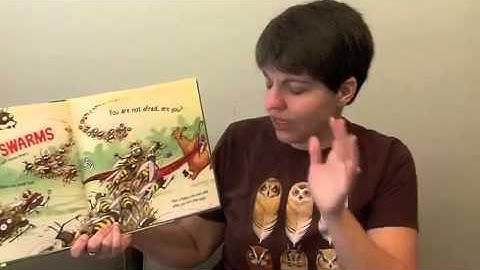 Storytime- Count the Monkeys