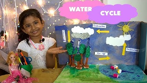 Water Cycle Project | Water Cycle 3D Model | School Science Project | School DIY Ideas|CBSE class 3