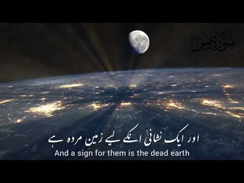 Surah Yasin - Verses 32-35 | Urdu Translation & English Subtitles | WhatsApp Status