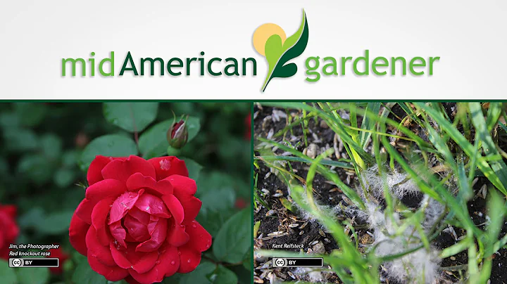 Mid-American Gardener with Dianne Noland - April 3...