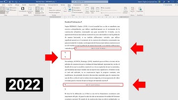 Elimina líneas en blanco, párrafos vacíos y espacios demás en WORD | El Tío Tech