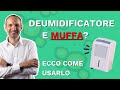 Come usare il deumidificare quando c’è muffa, senza contaminare la stanza