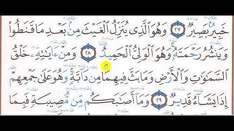 تلاوة سورة الشورى 28 35 مع التعرف على حكمي الإظهار والإدغام