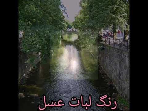 رنگ چشات عسل