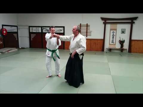 Basic Aikido Techniques - Morotedori Ikkyo