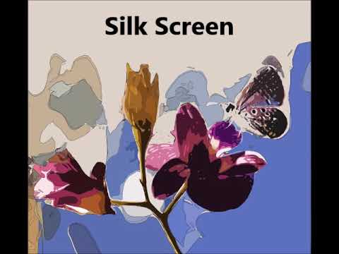Virtual Painter 6   Presets
