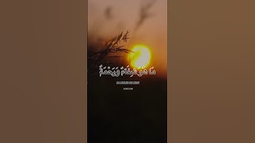 سوره اسراء (17:82) با آرامش ❤️ تلاوت
