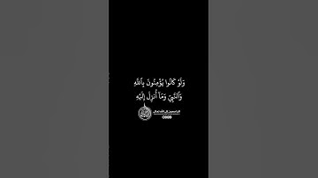 ماهر المعيقلي - سورة المائدة ( برواية حفص عن عاصم ) الأية 81