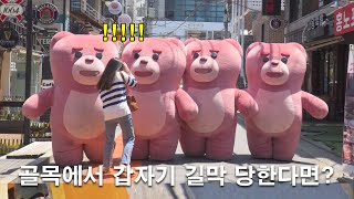 [SUB] 골목에서 갑자기 곰 4마리가 길을 막는다면?