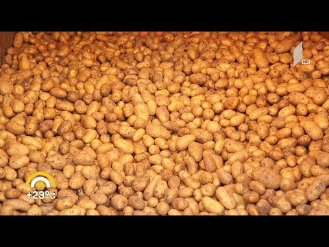 #ახალიდღე ​პესტიციდების საფრთხე რუბრიკაში #ეკოლოგია