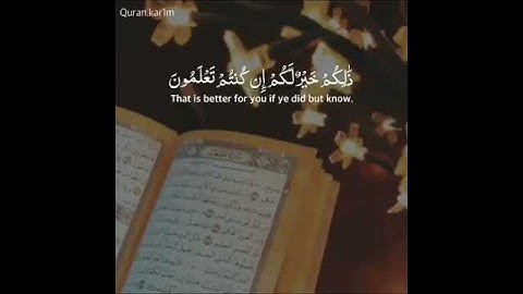 يوم الجمعة🍂🌿حالات واتس اب دينية🍂🌿قران كريم🍂🌿ماهر المعيقلي🍂🌿مقاطع دينية قصيرة🍂🌿