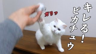 ケージに入れられたのが不満で飼い主を引っ掻く白ピカチュウ！