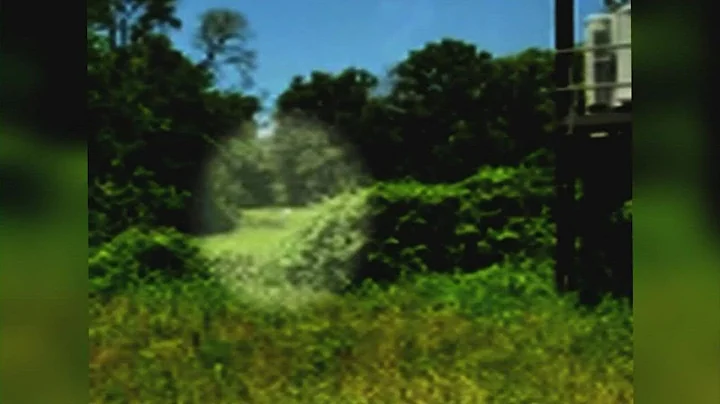 Gonzalo Lopez search | New video shows escaped inm...
