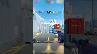 spaceinfo, dreamloader - Beasty CS2 - Level 10 Faceit