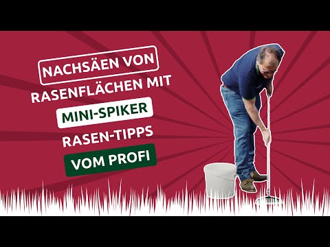 Video: Können Spikes auf Rasen verwendet werden?