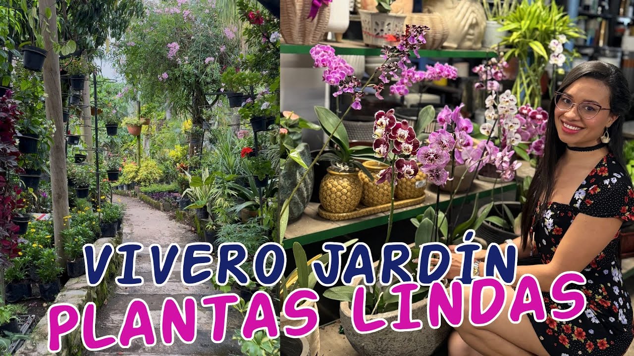 TIENEN DE TODO!!! Este es el vivero más completo que he visitado PLANTAS LINDAS, MACETAS, REGALOS